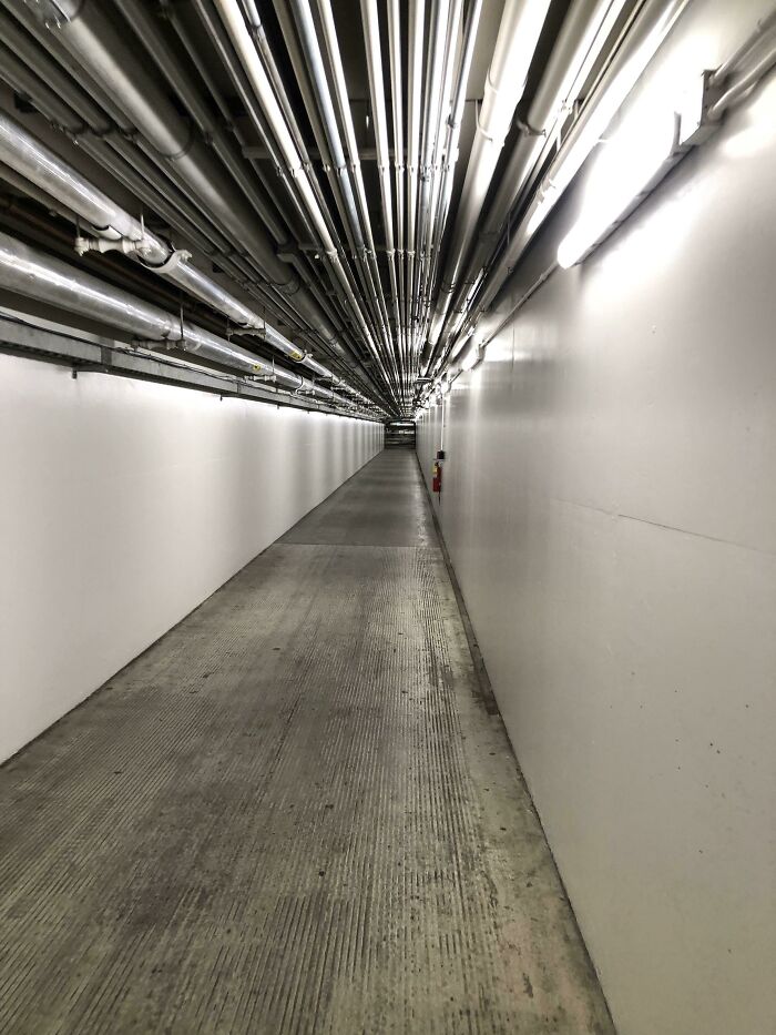 A long, narrow corridor with numerous pipes overhead, creating a deeply unsettling liminal space.