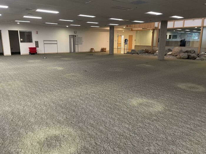 An expansive, empty room with grey carpet and scattered rocks, an unsettling liminal space.