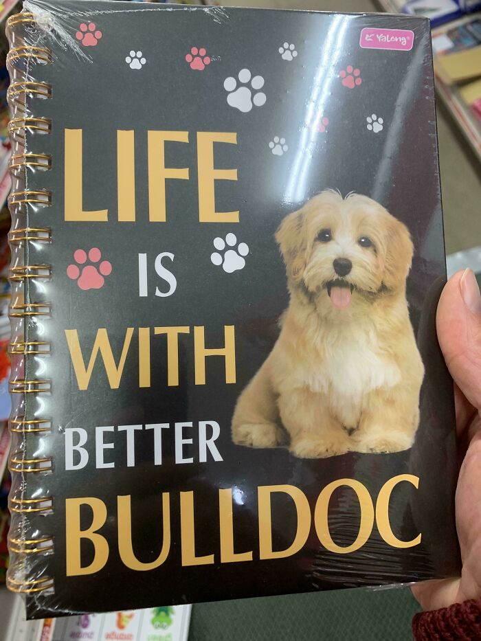 Life Is With Better Bulldoc
