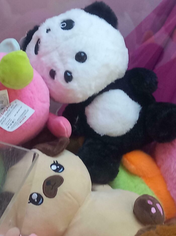 This Panda Plushie With, Apparently, Two Faces, I Found At A Claw Machine I Took My Baby Cousin To See In An Ice Cream Shop