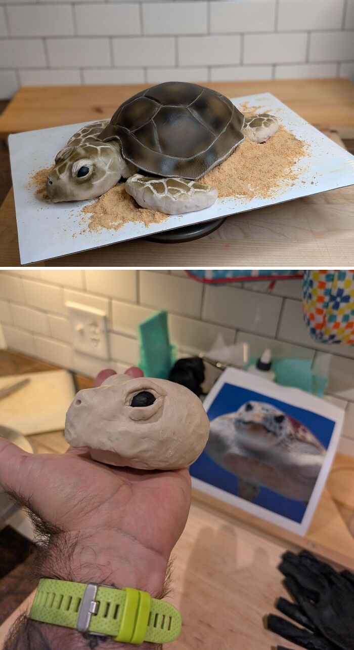 Realistic turtle cake dessert with detailed shell and flippers
