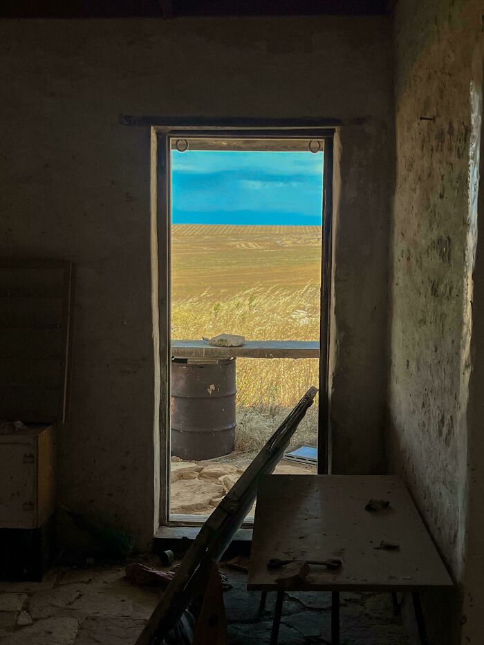 An open doorway revealing a vast, open field under a blue sky, creating a deeply unsettling liminal space.