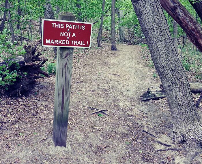 A funny sign at a trail entrance stating This Path Is Not A Marked Trail!, found in the wild.