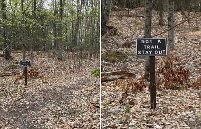 Funny signs in the wild: A black sign in a forest says NOT A TRAIL STAY OUT.