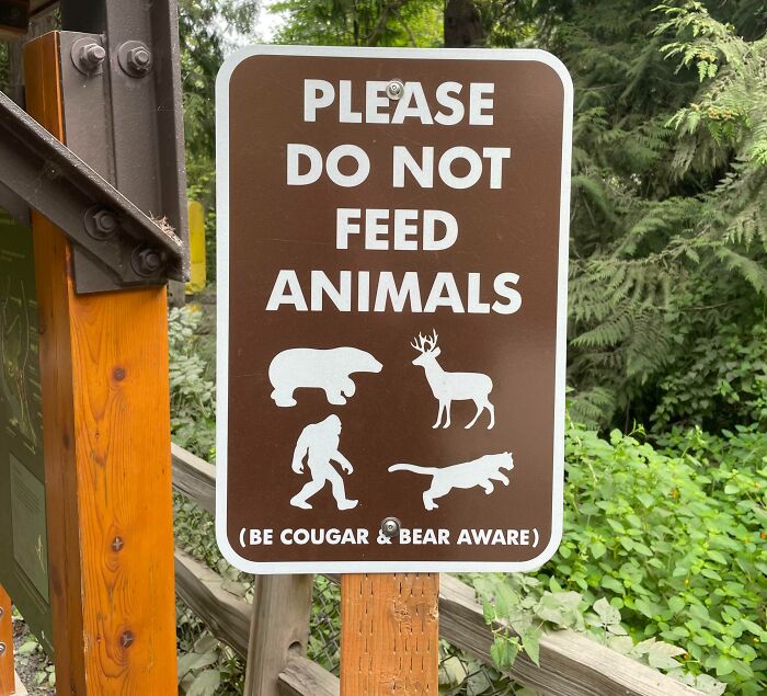A funny sign in the wild warning, Please Do Not Feed Animals, featuring silhouettes of a bear, deer, bigfoot, and cougar.