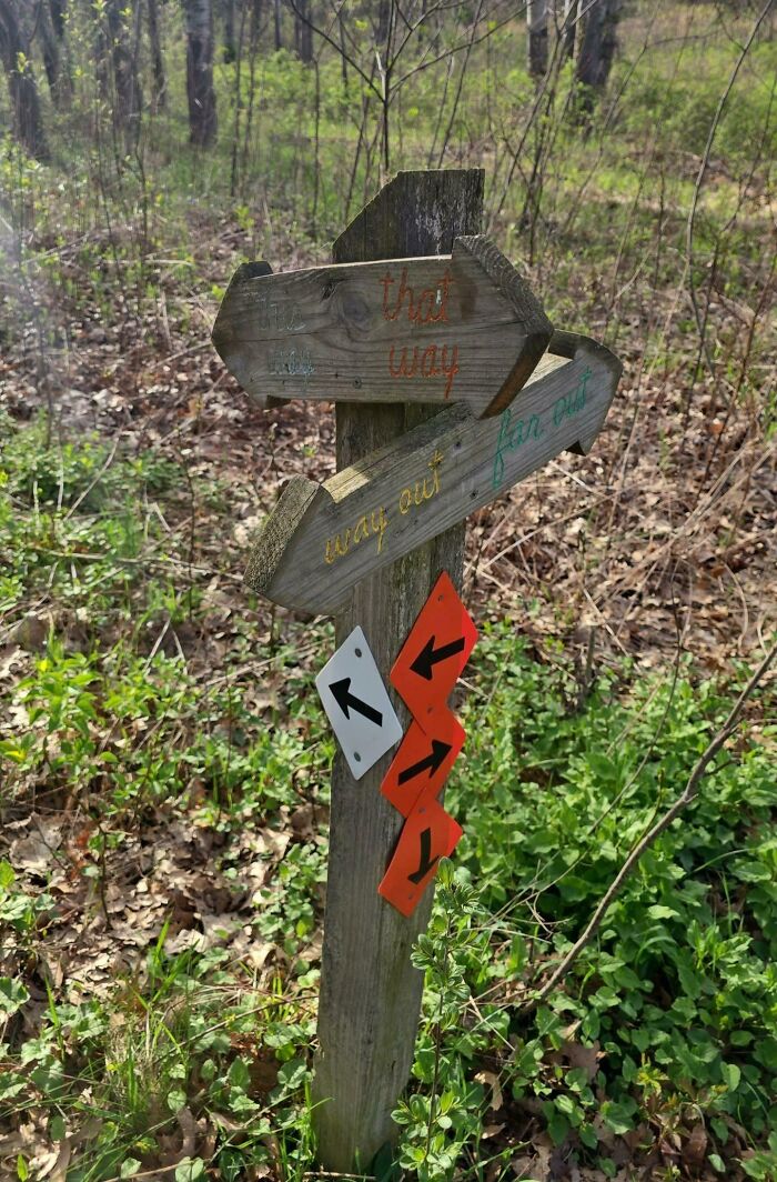 A wooden post with funny signs pointing in different directions, including 'that way' and 'way out', found in the wild.