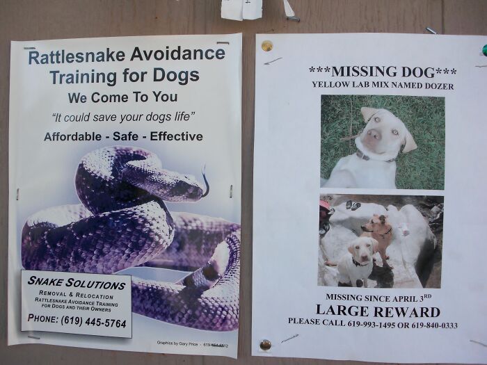 Two funny signs: one for rattlesnake avoidance training and another for a missing dog, both interesting finds in the wild.