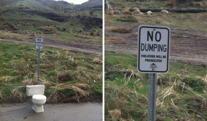 A funny sign that says NO DUMPING with a toilet placed underneath, making it a humorous find in the wild.