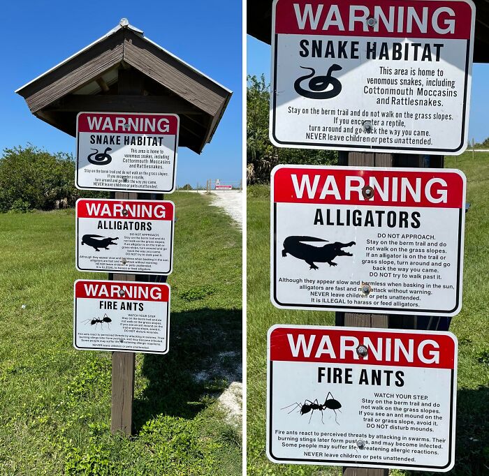 A collection of funny signs warning about snake habitat, alligators, and fire ants on a wooden post.