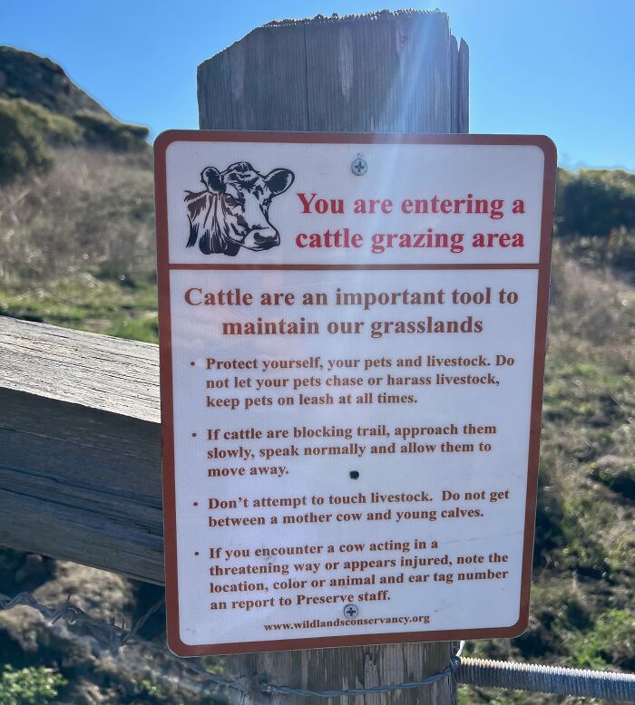 A funny sign in a cattle grazing area, providing rules and warnings for visitors about livestock.
