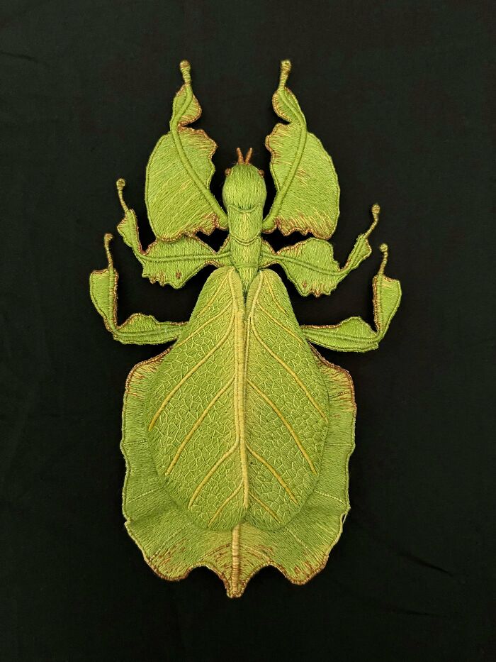 Green leaf insect hand stitched, embroidery projects inspiration