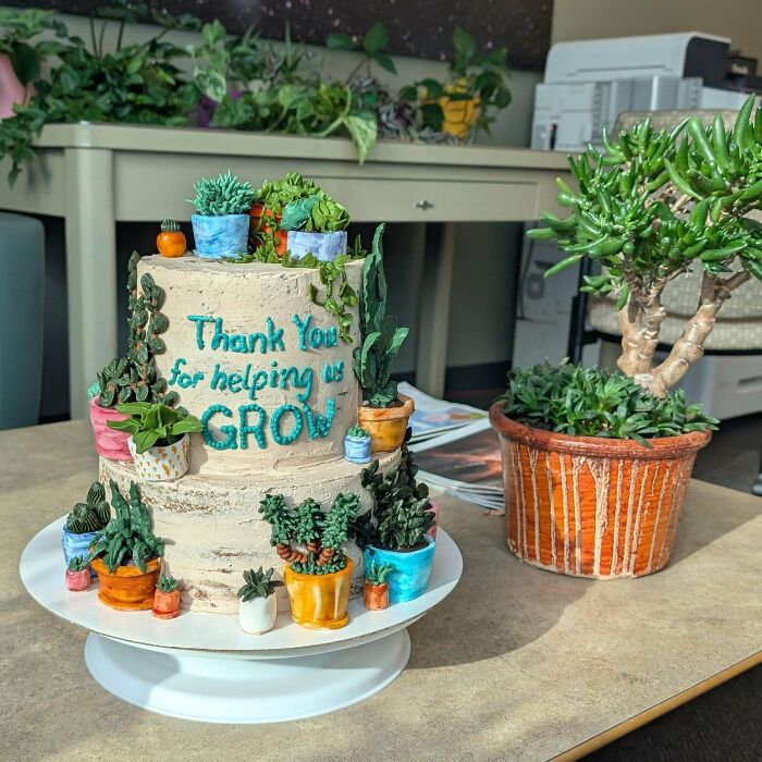 A multi-tiered plant-themed cake with potted succulents, a beautiful treat by talented bakers.