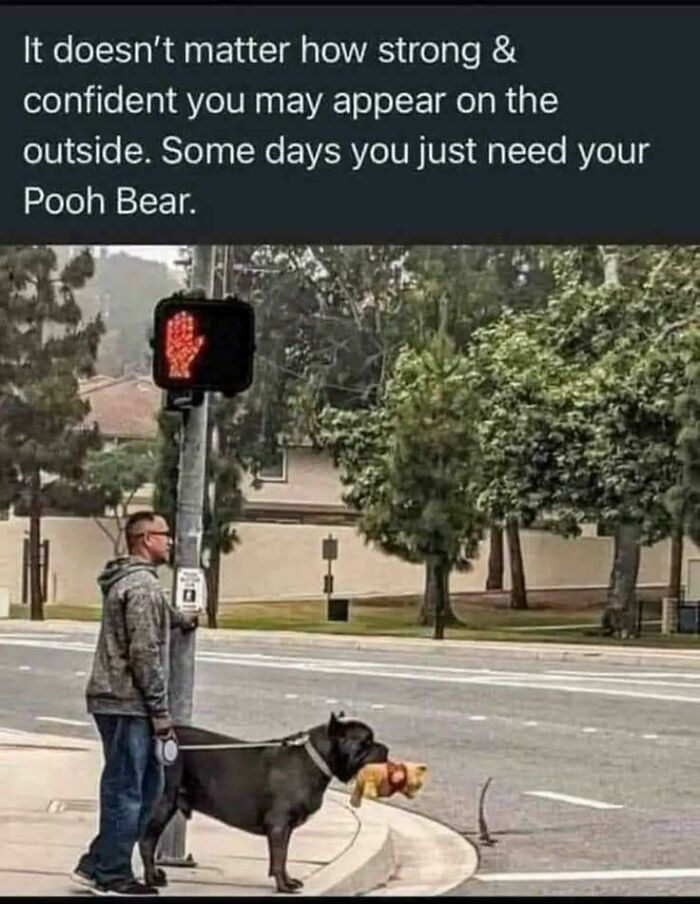 A man with a dog holding a Pooh Bear, showing that strength also means needing comfort.
