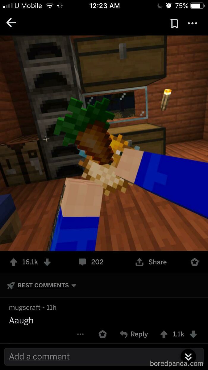 A Minecraft screenshot showing a player holding a pineapple, with a comment 'Aaugh' that represents comments you can hear.