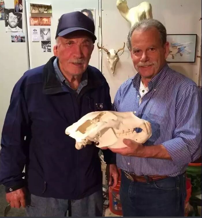 Two Mad Lad men posing with a large animal skull, a personal challenge.