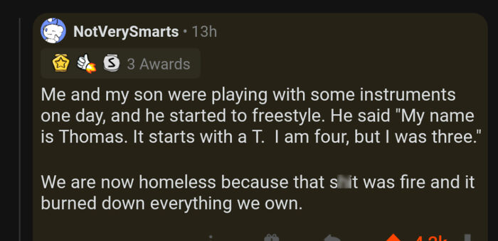 A Reddit post by NotVerySmarts describes a Mad Lad son's freestyle rap, burning down their home.
