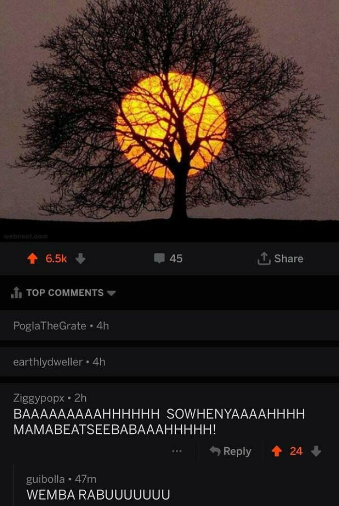 A screenshot of Reddit comments under an image of a tree with the sun in the background, showing comments you can hear.