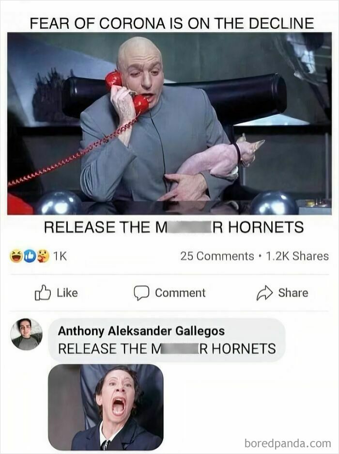 Dr. Evil holding a cat while on the phone, a classic comment you can hear: RELEASE THE M----R HORNETS.