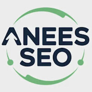 aneesseo avatar