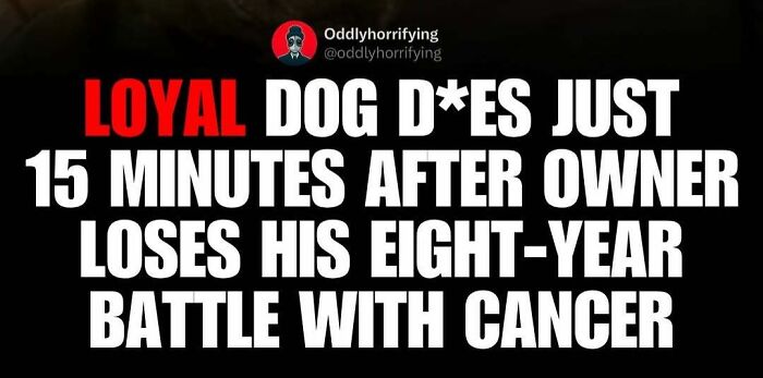 A loyal dog dies 15 minutes after its owner loses an eight-year battle with cancer, a truly unsettling story.
