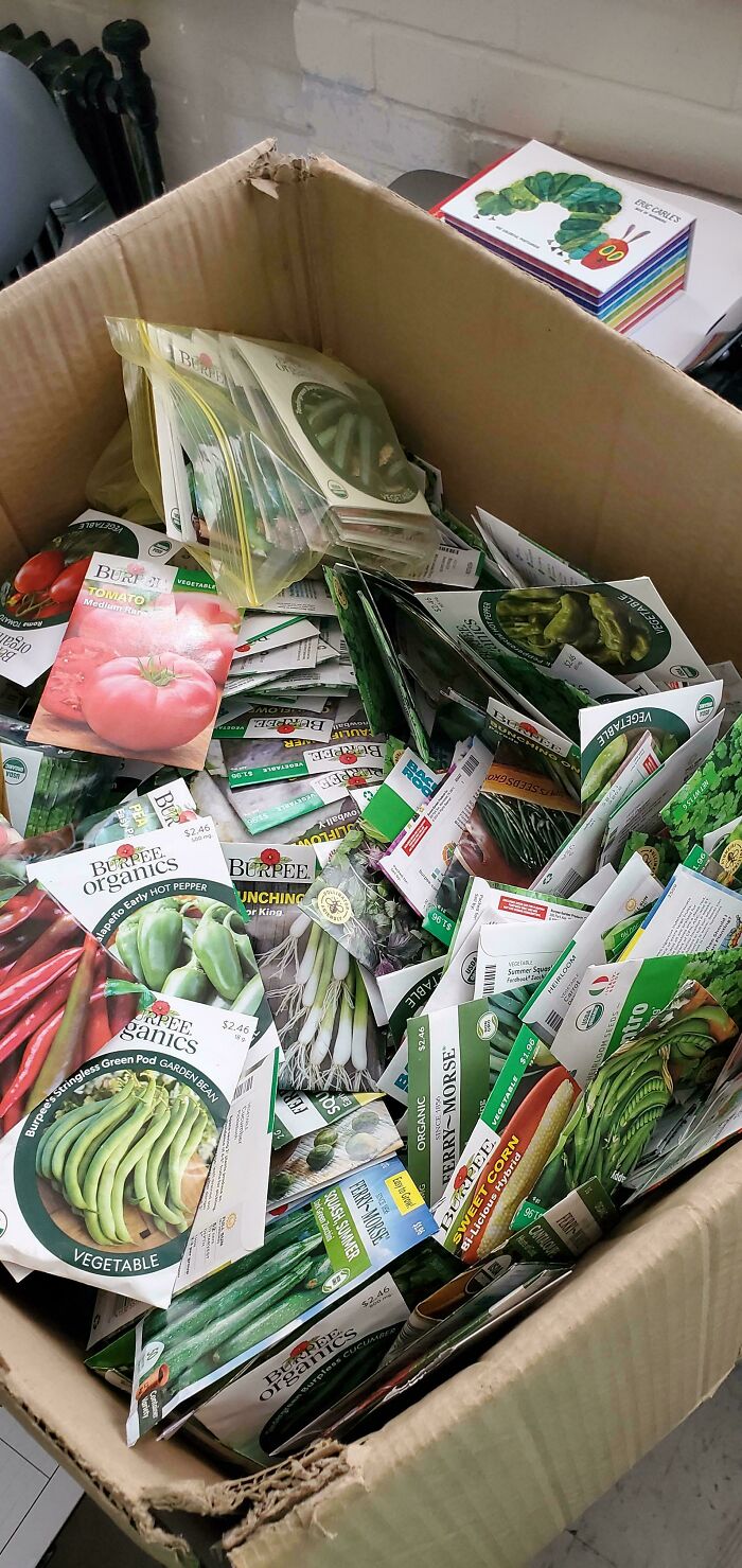 A cardboard box overflowing with various seed packets found while dumpster diving.