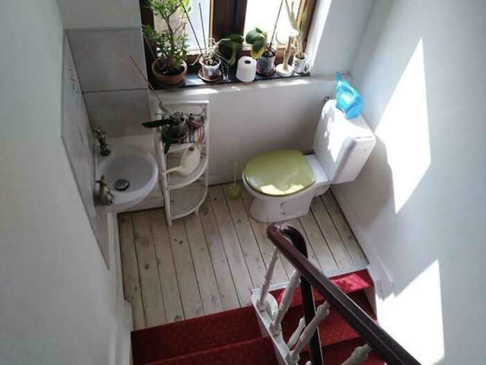 An unhinged real estate listing of a small bathroom with a toilet and sink at the top of a red-carpeted staircase.