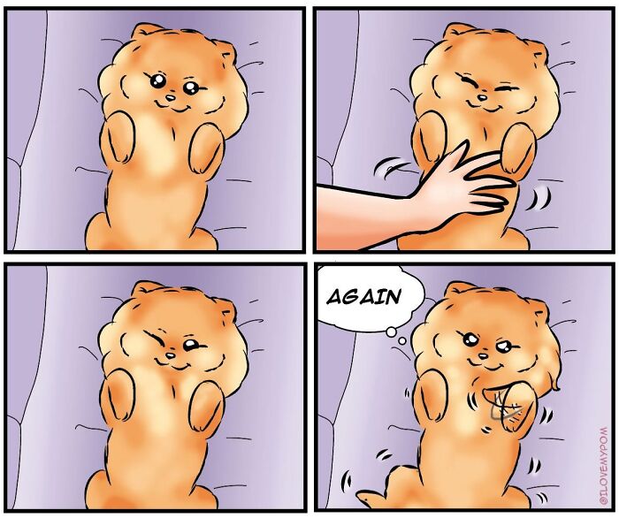 These Hilarious Comics Perfectly Capture What Life Is Like When You’re Obsessed With Pomeranians (40 New Comics)