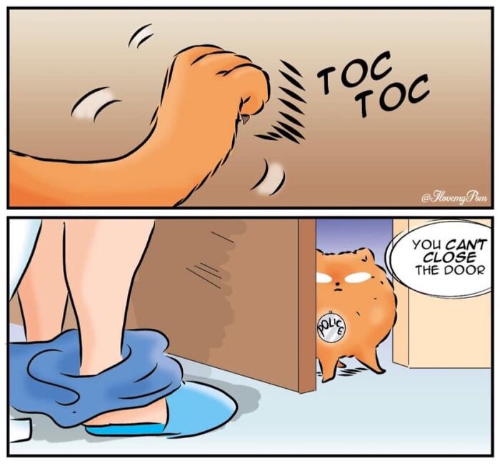 These Hilarious Comics Perfectly Capture What Life Is Like When You’re Obsessed With Pomeranians (40 New Comics)
