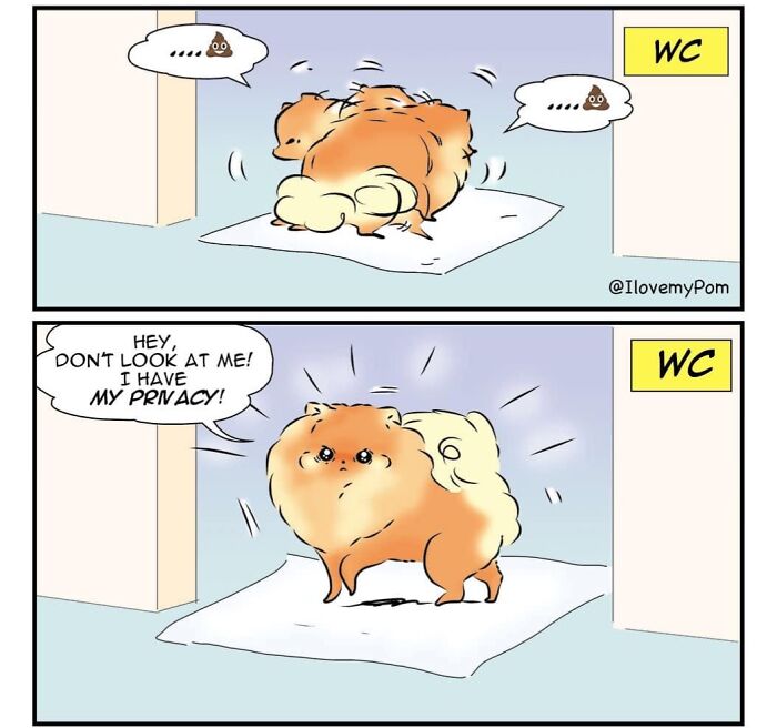These Hilarious Comics Perfectly Capture What Life Is Like When You’re Obsessed With Pomeranians (40 New Comics)