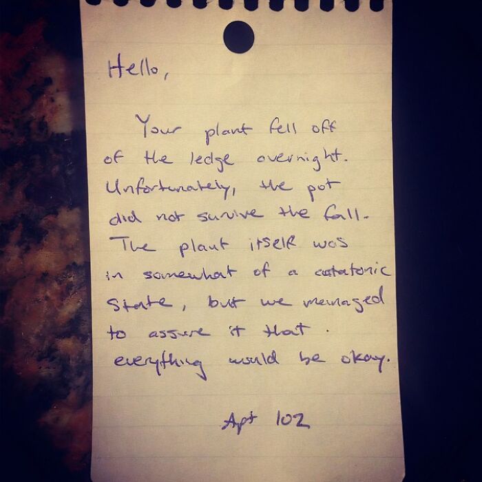 A polite and funny neighbors notes message about a fallen plant and its survival from apartment 102.