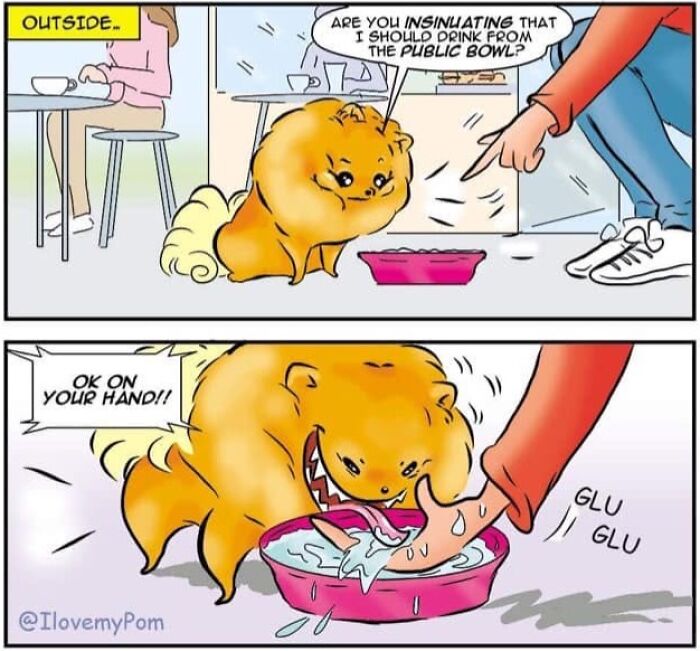 These Hilarious Comics Perfectly Capture What Life Is Like When You’re Obsessed With Pomeranians (40 New Comics)