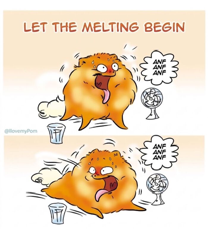 These Hilarious Comics Perfectly Capture What Life Is Like When You’re Obsessed With Pomeranians (40 New Comics)