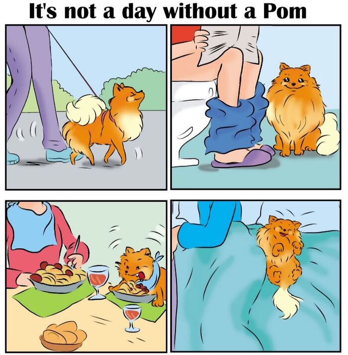 These Hilarious Comics Perfectly Capture What Life Is Like When You’re Obsessed With Pomeranians (40 New Comics)