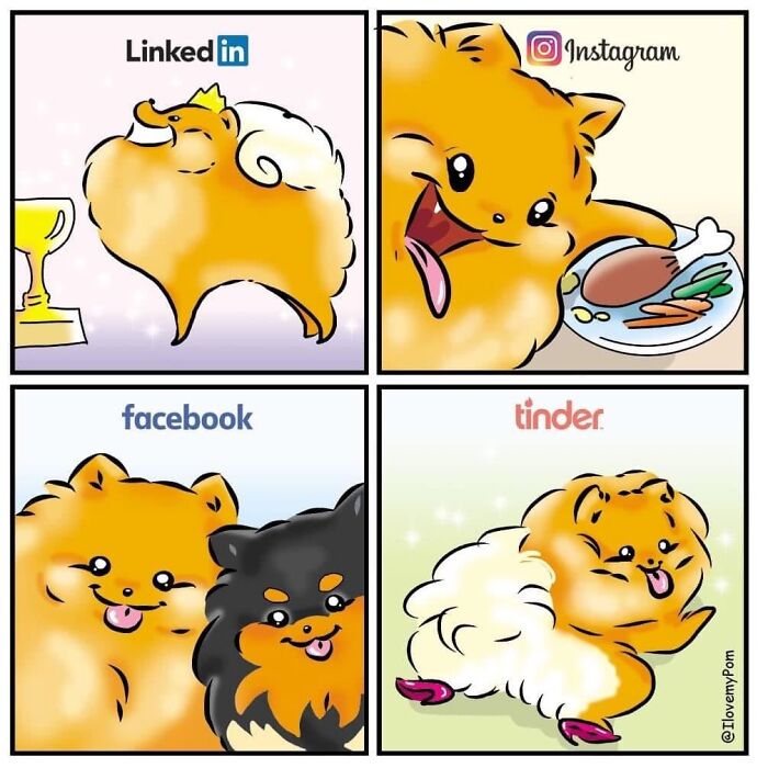 These Hilarious Comics Perfectly Capture What Life Is Like When You’re Obsessed With Pomeranians (40 New Comics)