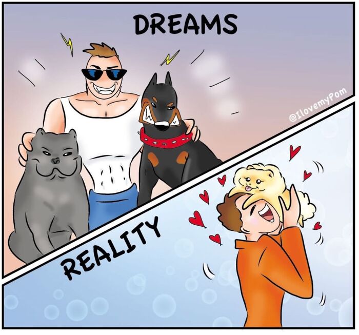 These Hilarious Comics Perfectly Capture What Life Is Like When You’re Obsessed With Pomeranians (40 New Comics)
