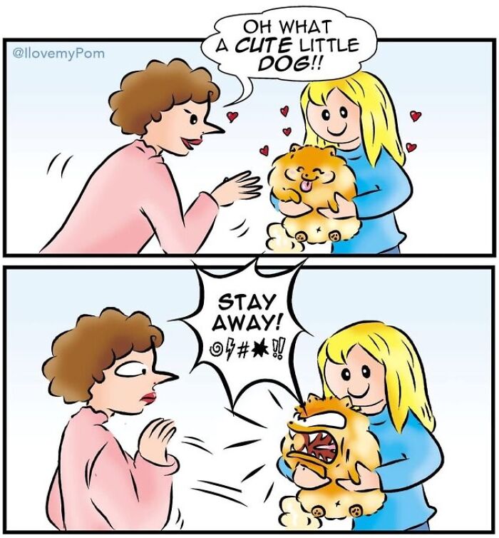 These Hilarious Comics Perfectly Capture What Life Is Like When You’re Obsessed With Pomeranians (40 New Comics)