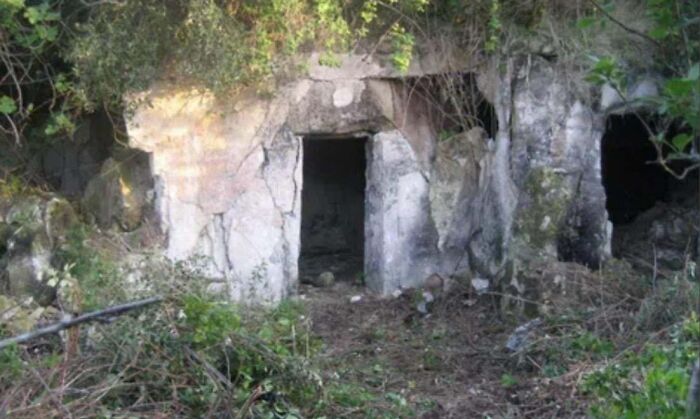 An unhinged real estate listing of a dilapidated, overgrown stone structure with a dark entrance, resembling a cave or old bunker.