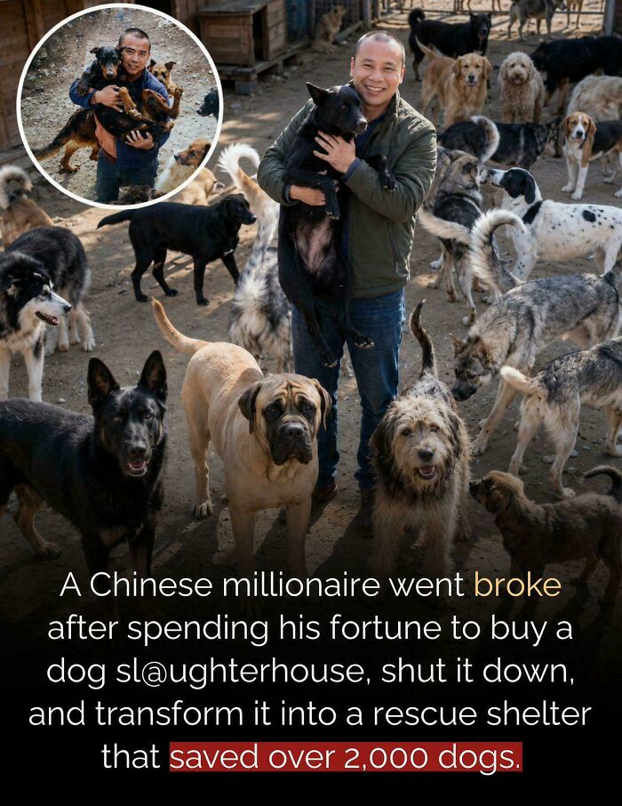Wang Yan Wasn't A Millionaire As Mentioned Here But Was An Above Middle Class Guy Who Earned Well
