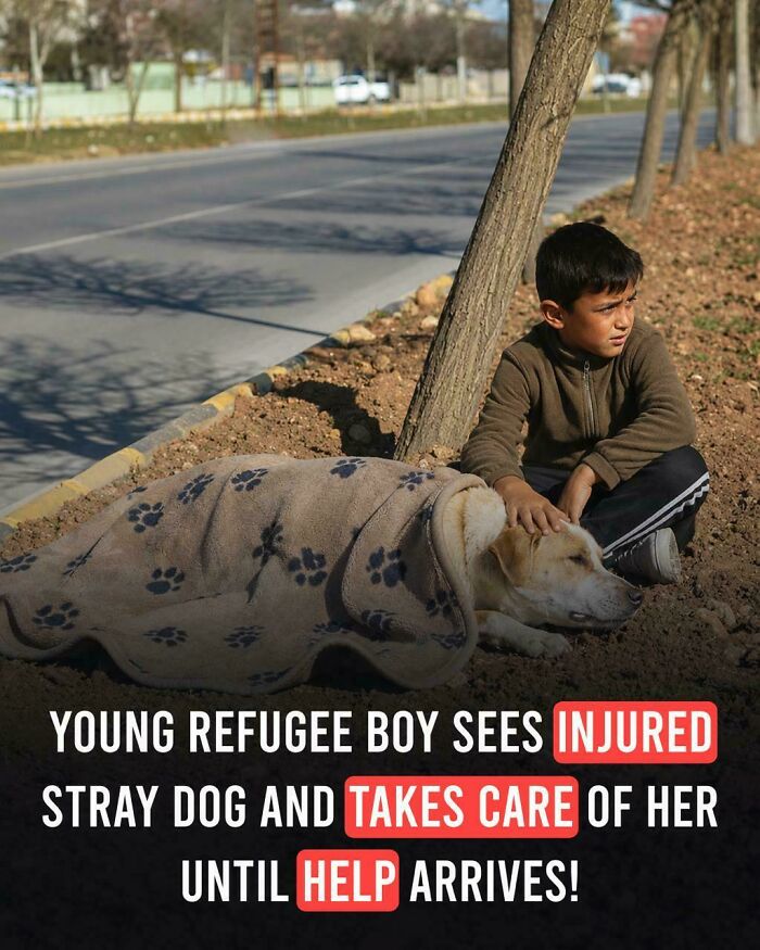 Humanity Is Seen Everywhere