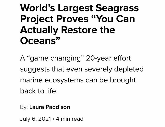 Here's Some Uplifting Headlines In These Dark Times