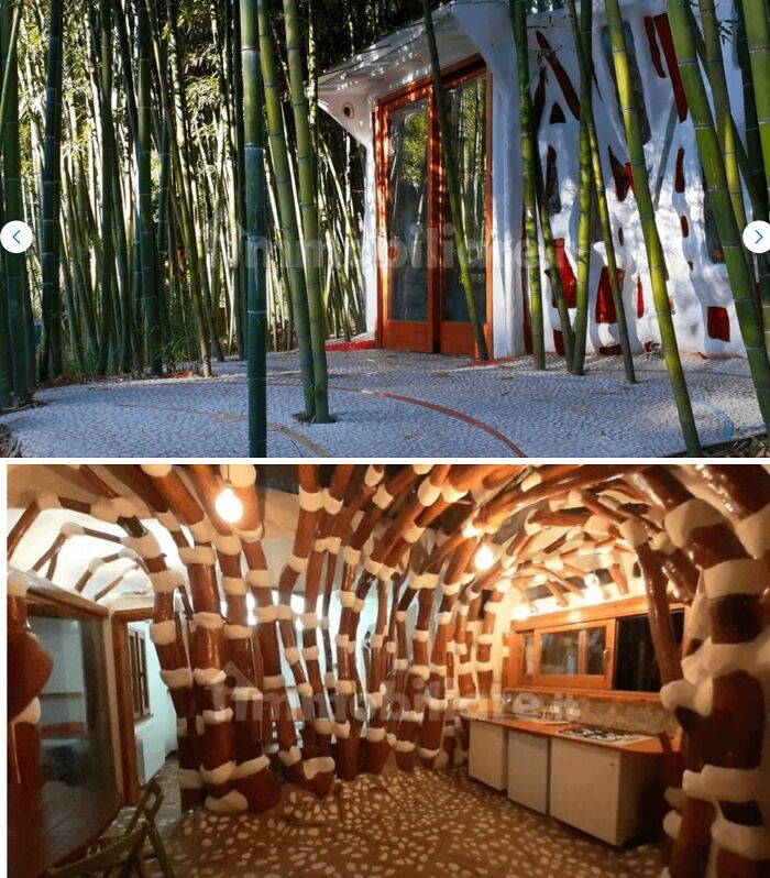 An unusual real estate listing showing a house integrated into a dense bamboo forest with a cave-like interior.