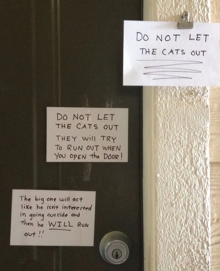 Funny neighbors notes with three signs on a door, all warning not to let the cats out, especially the big one.
