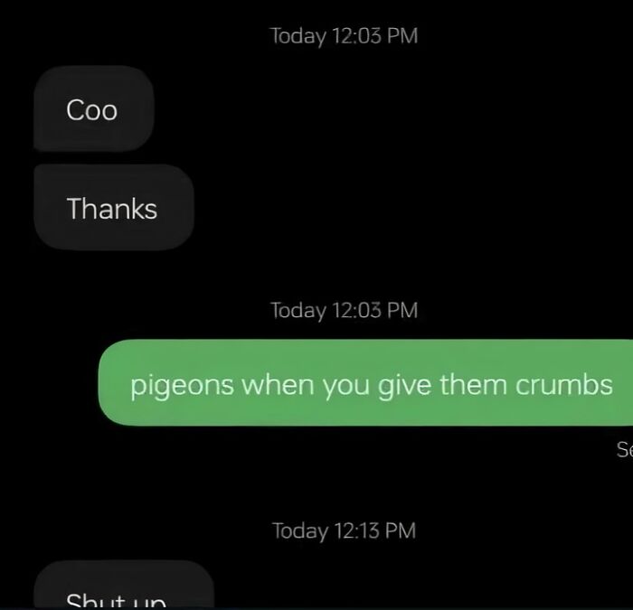 Hilarious text exchanges comparing pigeons reacting to crumbs, showcasing absolutely no filter humor.