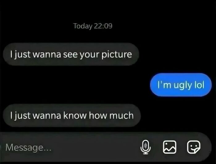 Hilarious text exchange where someone asks to see a picture, and the other person replies I'm ugly lol, then I just wanna know how much.