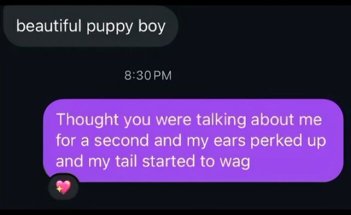 A humorous text exchange showing a message 'beautiful puppy boy' followed by a reply 'Thought you were talking about me for a second and my ears perked up and my tail started to wag' demonstrating no filter.
