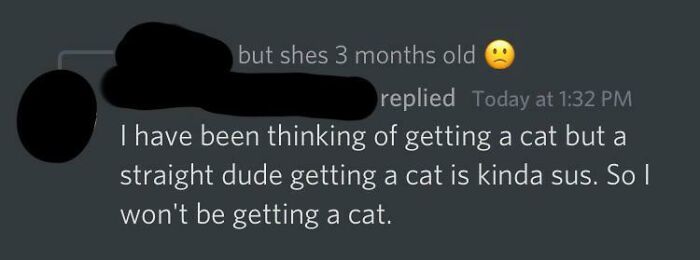 A message discussing how a straight dude getting a cat is kinda sus, an example of fragile masculinity.