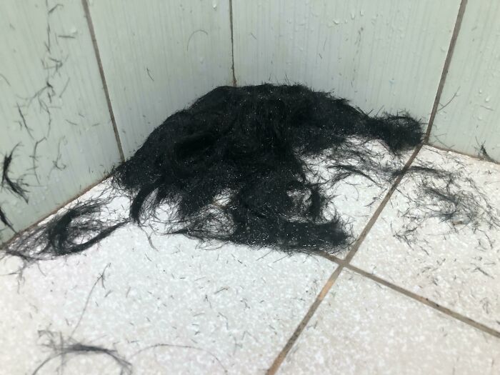 A large pile of black hair on a tiled shower floor, illustrating a horrible roommates messy behavior.