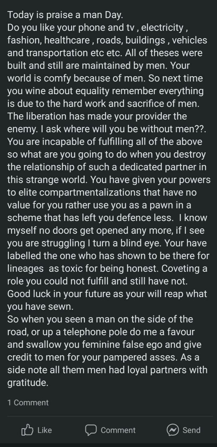 A lengthy text post advocating for the praise of men, discussing their contributions to society and perceived gender roles.