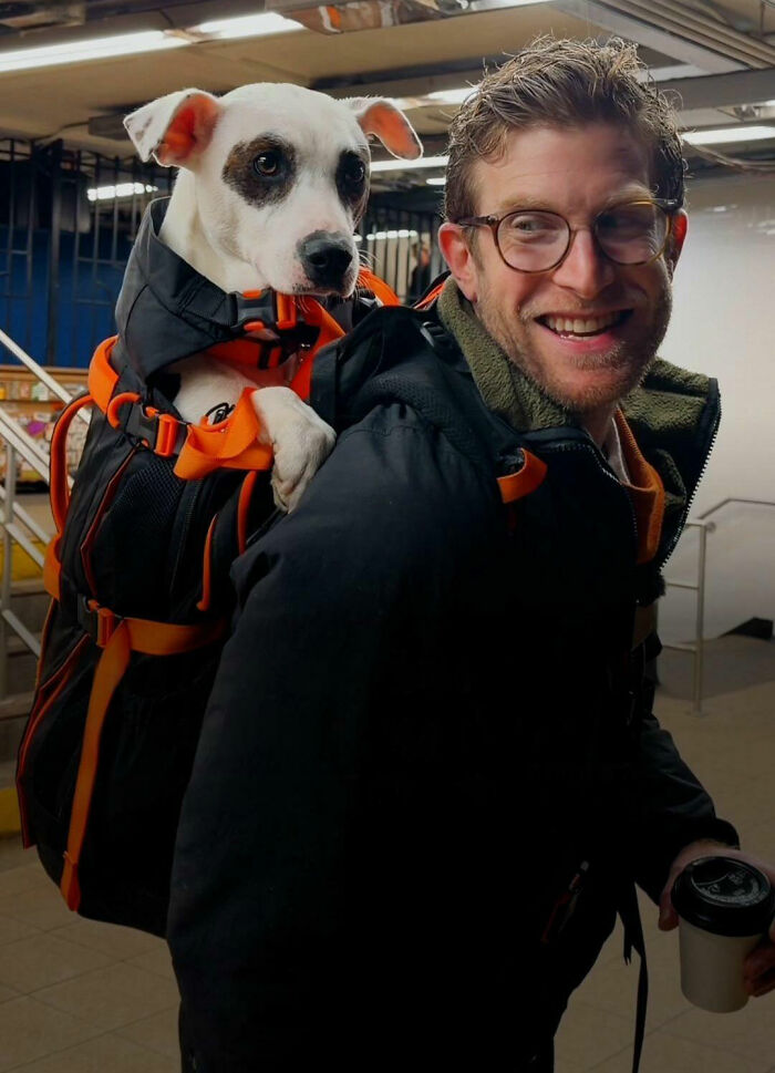 This Content Creator Carries Shelter Dogs Around NYC In A Backpack To Help Them Get Adopted This Content Creator Carries Shelter Dogs Around NYC In A Backpack To Help Them Get Adopted