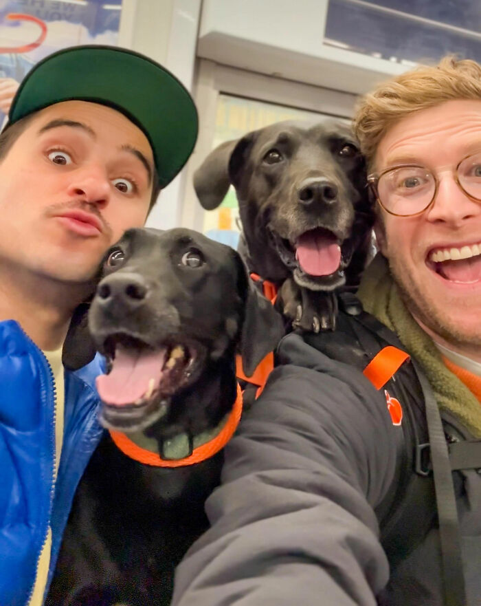 This Content Creator Carries Shelter Dogs Around NYC In A Backpack To Help Them Get Adopted This Content Creator Carries Shelter Dogs Around NYC In A Backpack To Help Them Get Adopted